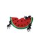 Watermelon with Ants, Picnic, Food, Embroidered, Iron on Patch